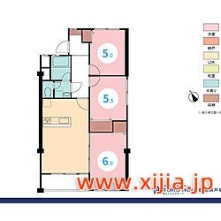 妙蓮寺コーポラス 1階
